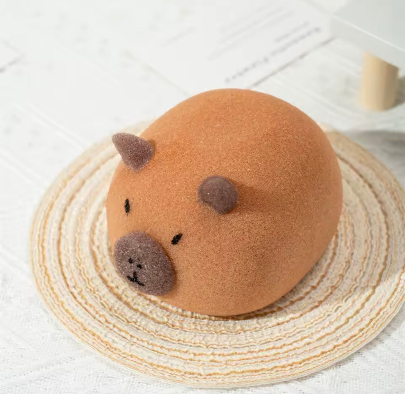Capybara, Pet Sponge