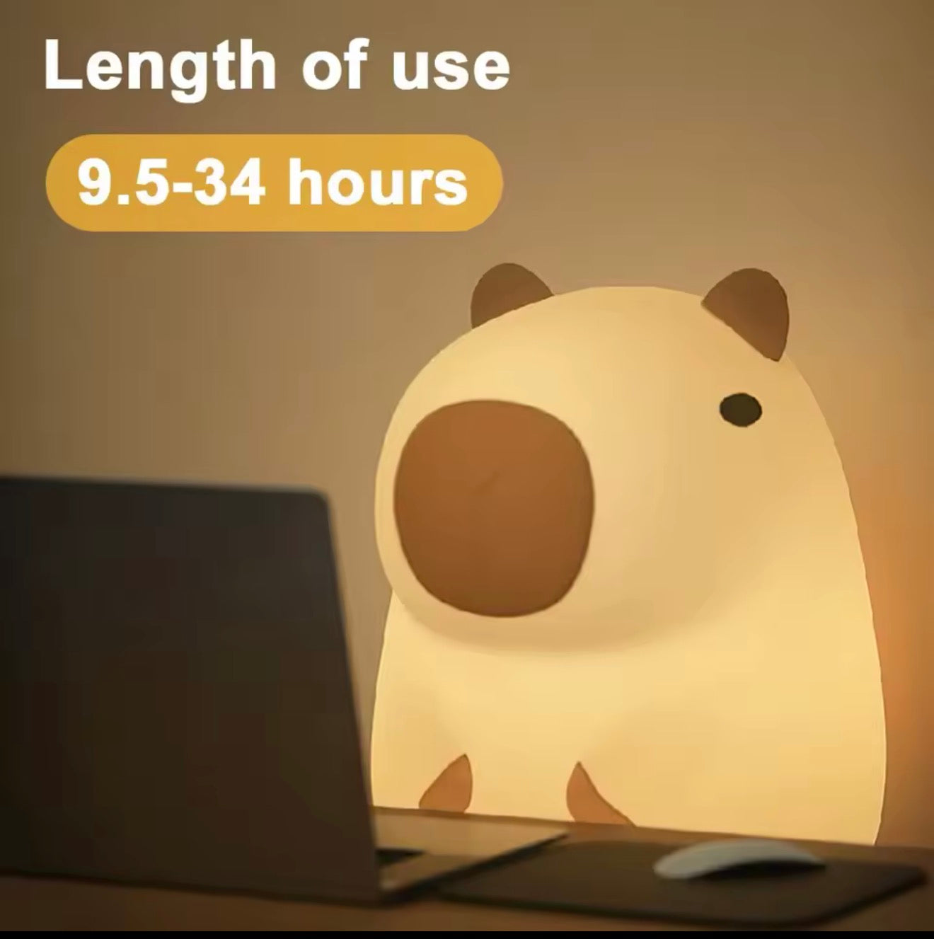 Capybara, Night Light
