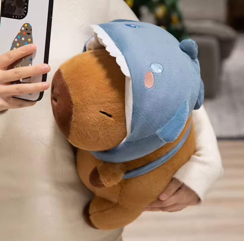 Capybara, Shark Hat