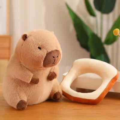Capybara, Toast slice pet